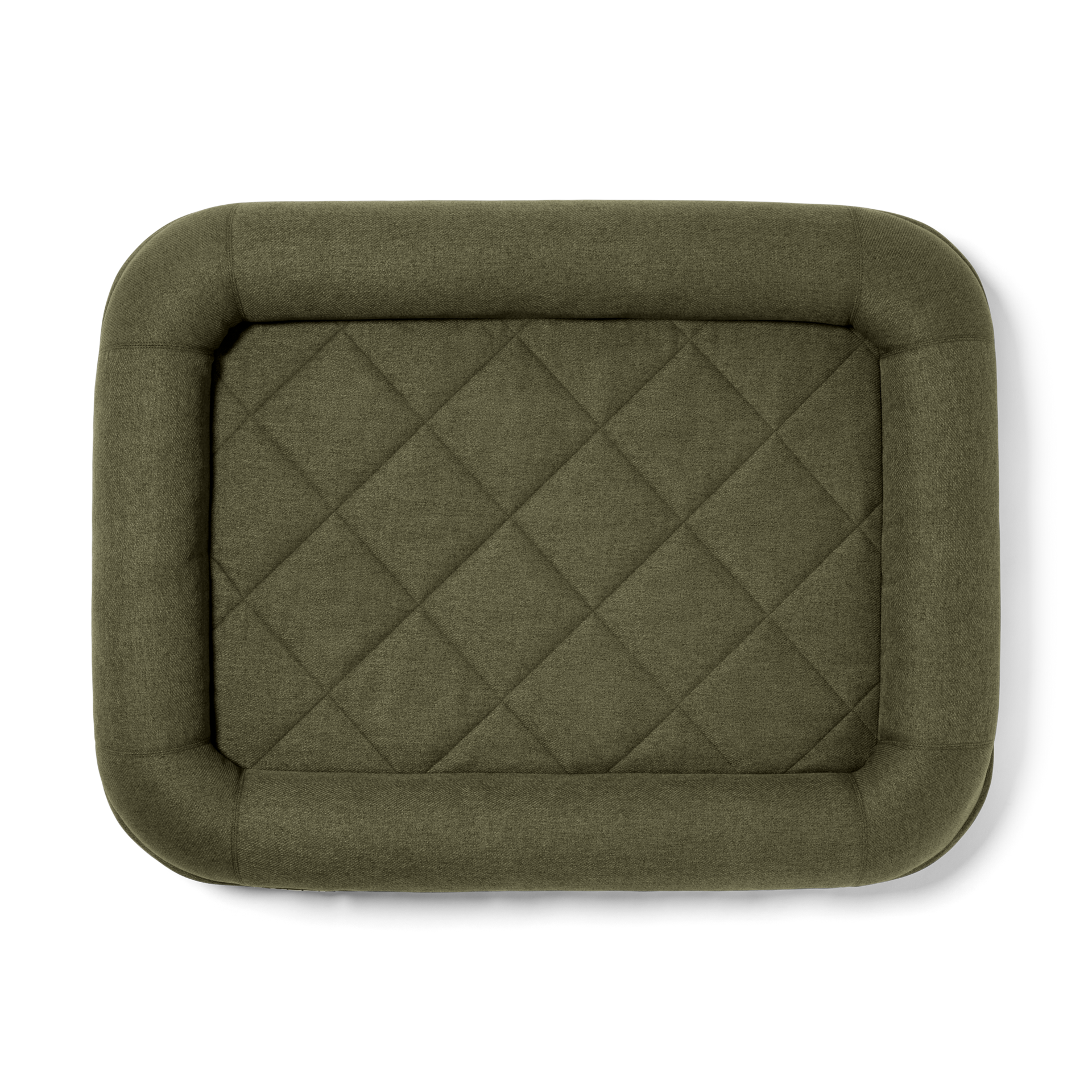 Boomer?, Olive, large