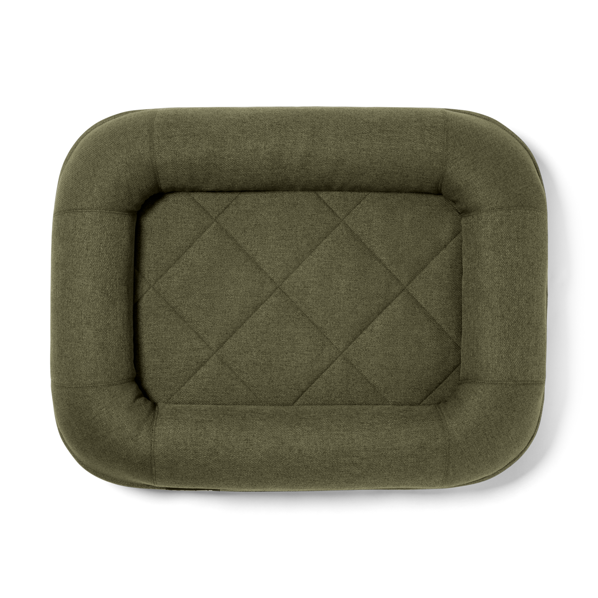 Boomer?, Olive, large