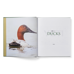 Ducks Coffee Table Book, Ducks Book, large